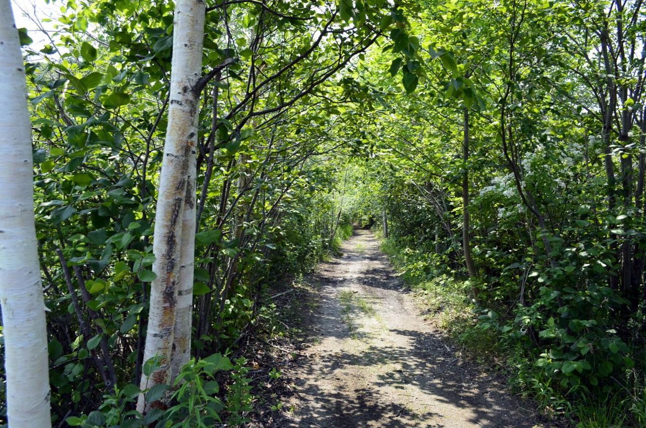 Still Point Lodge Deep Brook المظهر الخارجي الصورة