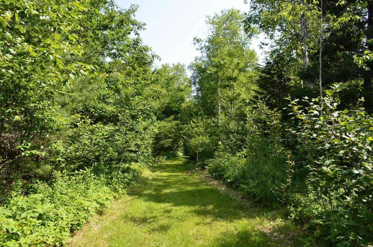 Still Point Lodge Deep Brook المظهر الخارجي الصورة