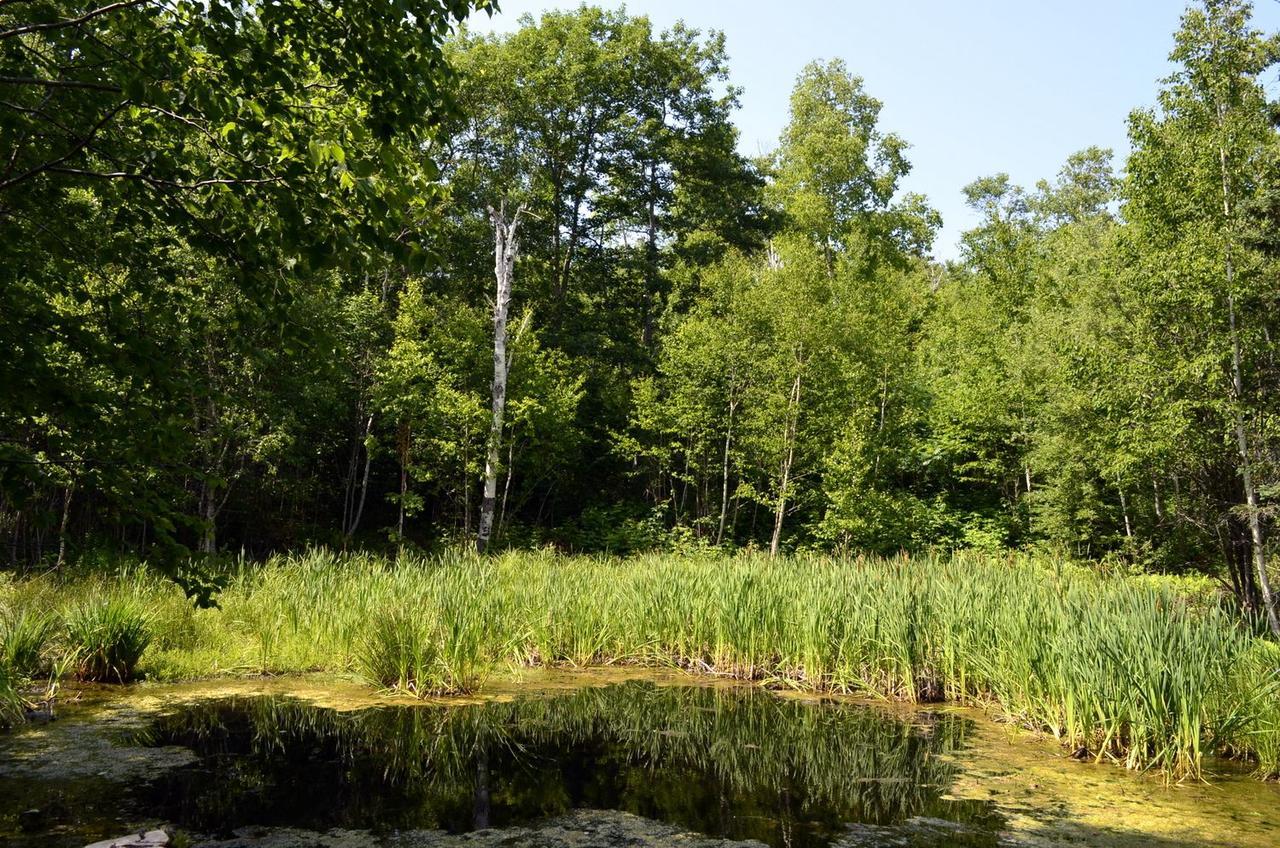 Still Point Lodge Deep Brook المظهر الخارجي الصورة