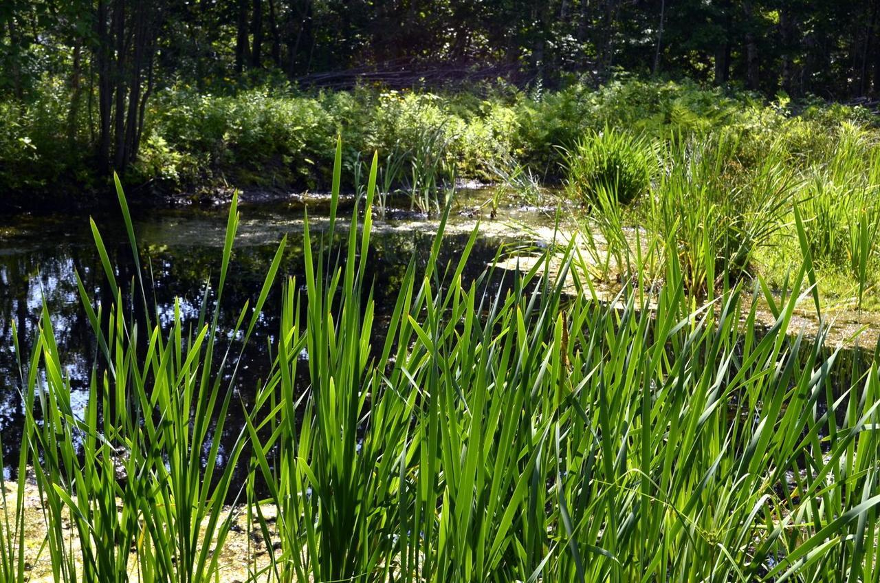 Still Point Lodge Deep Brook المظهر الخارجي الصورة