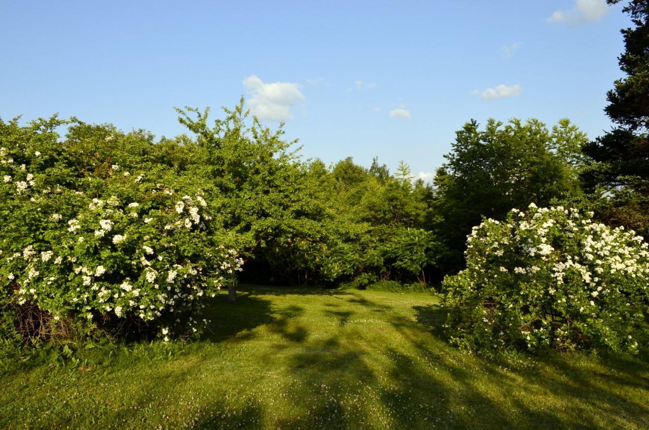 Still Point Lodge Deep Brook المظهر الخارجي الصورة